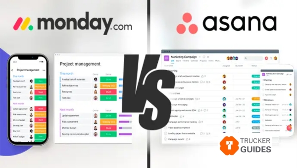 Overview of Asana and Monday
